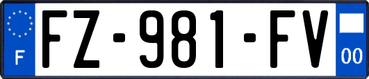 FZ-981-FV