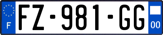 FZ-981-GG