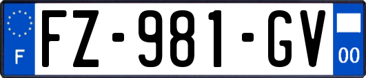 FZ-981-GV