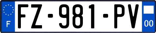 FZ-981-PV