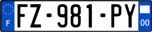 FZ-981-PY