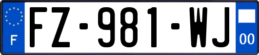 FZ-981-WJ