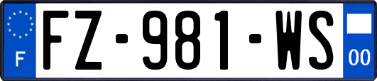 FZ-981-WS