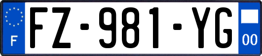 FZ-981-YG