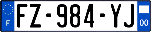 FZ-984-YJ