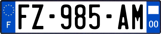 FZ-985-AM