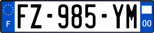 FZ-985-YM