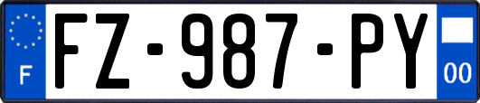 FZ-987-PY