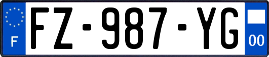 FZ-987-YG