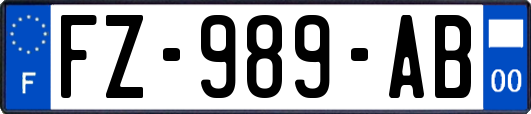 FZ-989-AB