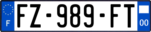 FZ-989-FT