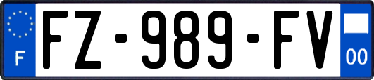 FZ-989-FV