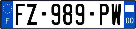 FZ-989-PW