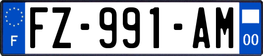 FZ-991-AM