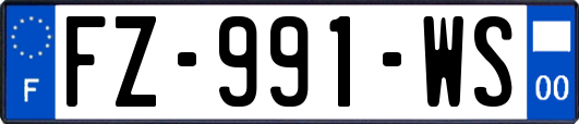 FZ-991-WS
