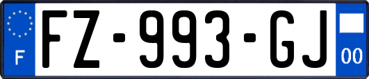 FZ-993-GJ