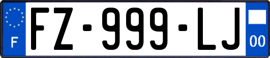 FZ-999-LJ