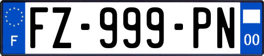 FZ-999-PN
