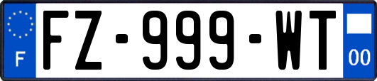 FZ-999-WT
