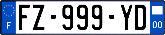 FZ-999-YD
