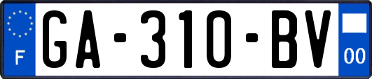 GA-310-BV