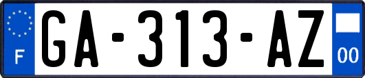 GA-313-AZ