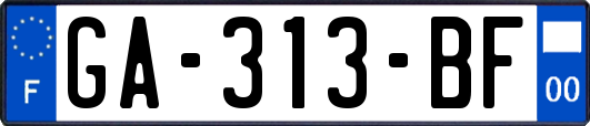 GA-313-BF