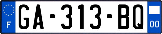 GA-313-BQ