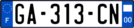 GA-313-CN