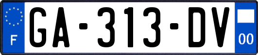 GA-313-DV