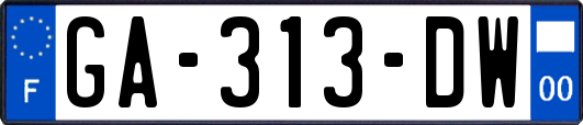 GA-313-DW