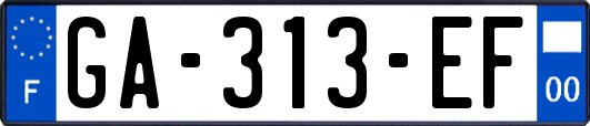 GA-313-EF