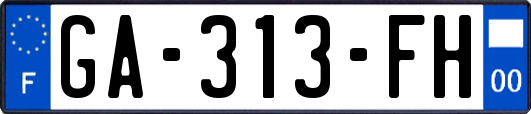 GA-313-FH