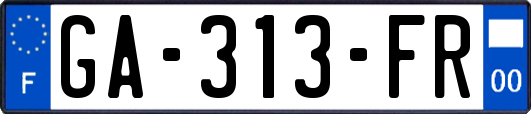 GA-313-FR