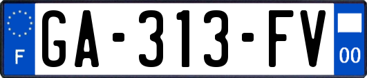 GA-313-FV