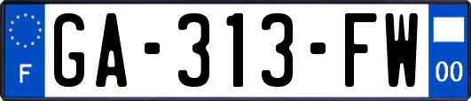 GA-313-FW