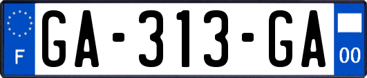 GA-313-GA