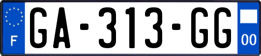 GA-313-GG