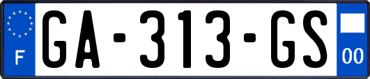 GA-313-GS