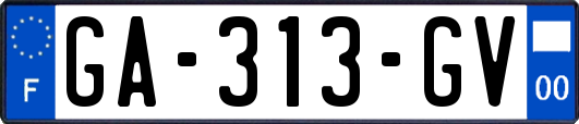 GA-313-GV