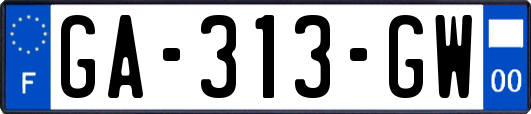 GA-313-GW