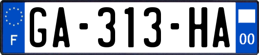 GA-313-HA