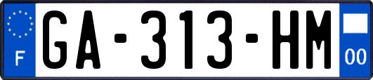 GA-313-HM