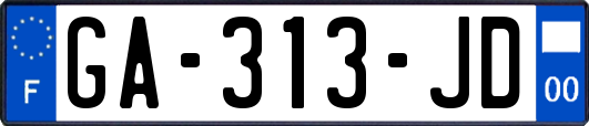 GA-313-JD