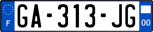 GA-313-JG