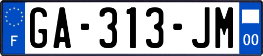 GA-313-JM