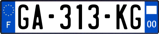 GA-313-KG