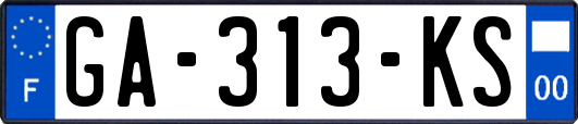 GA-313-KS