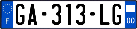 GA-313-LG