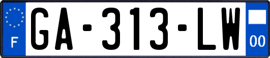 GA-313-LW
